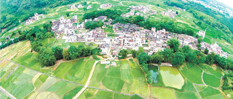 陽山縣太平鎮(zhèn)白花村中心小組,村中整合前的土地分布零散,由原來的78塊田整合成33塊田。