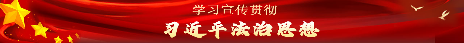 學(xué)習(xí)宣傳貫徹習(xí)近平法治思想