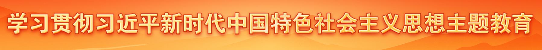 學(xué)習(xí)貫徹習(xí)近平新時(shí)代中國特色社會(huì)主義思想主題教育