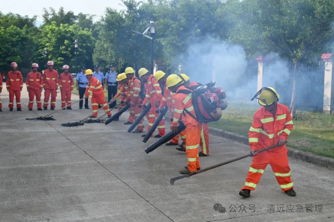 森林防滅火宣傳月｜清遠積極行動，共筑森林防火安全網(wǎng)